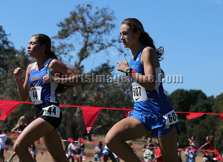 2015SIxcHSSeeded-237.JPG - 2015 Stanford Cross Country Invitational, September 26, Stanford Golf Course, Stanford, California.